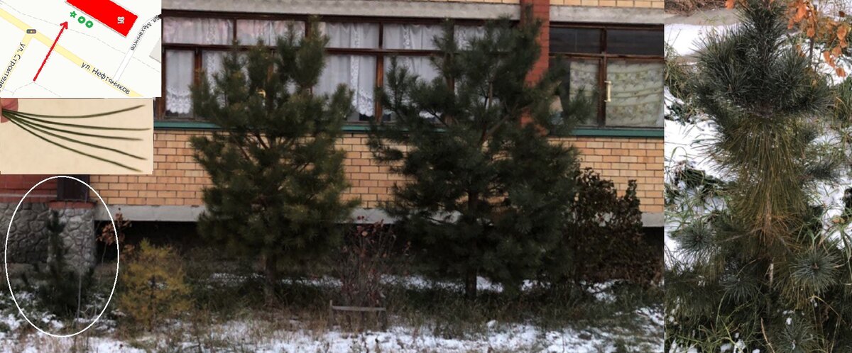 Все фото автора