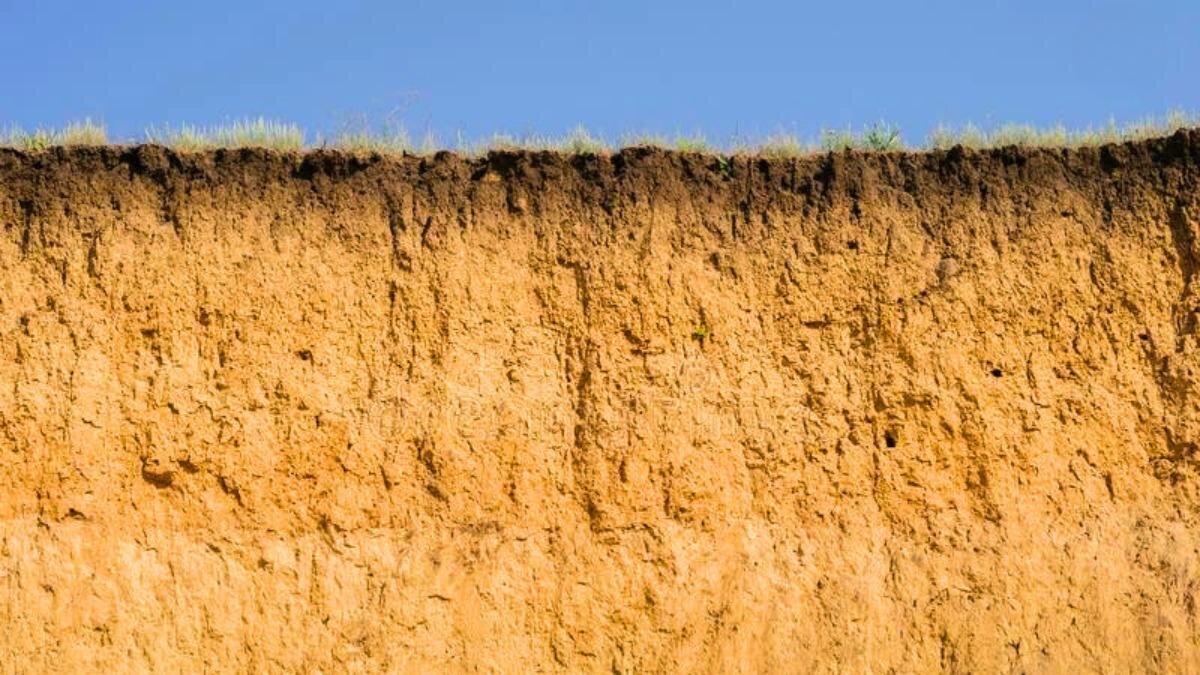 Слои многослойного изображения. Кожа система человека. Лои. Базы данных гис. Многослойные изображения в фотошопе.