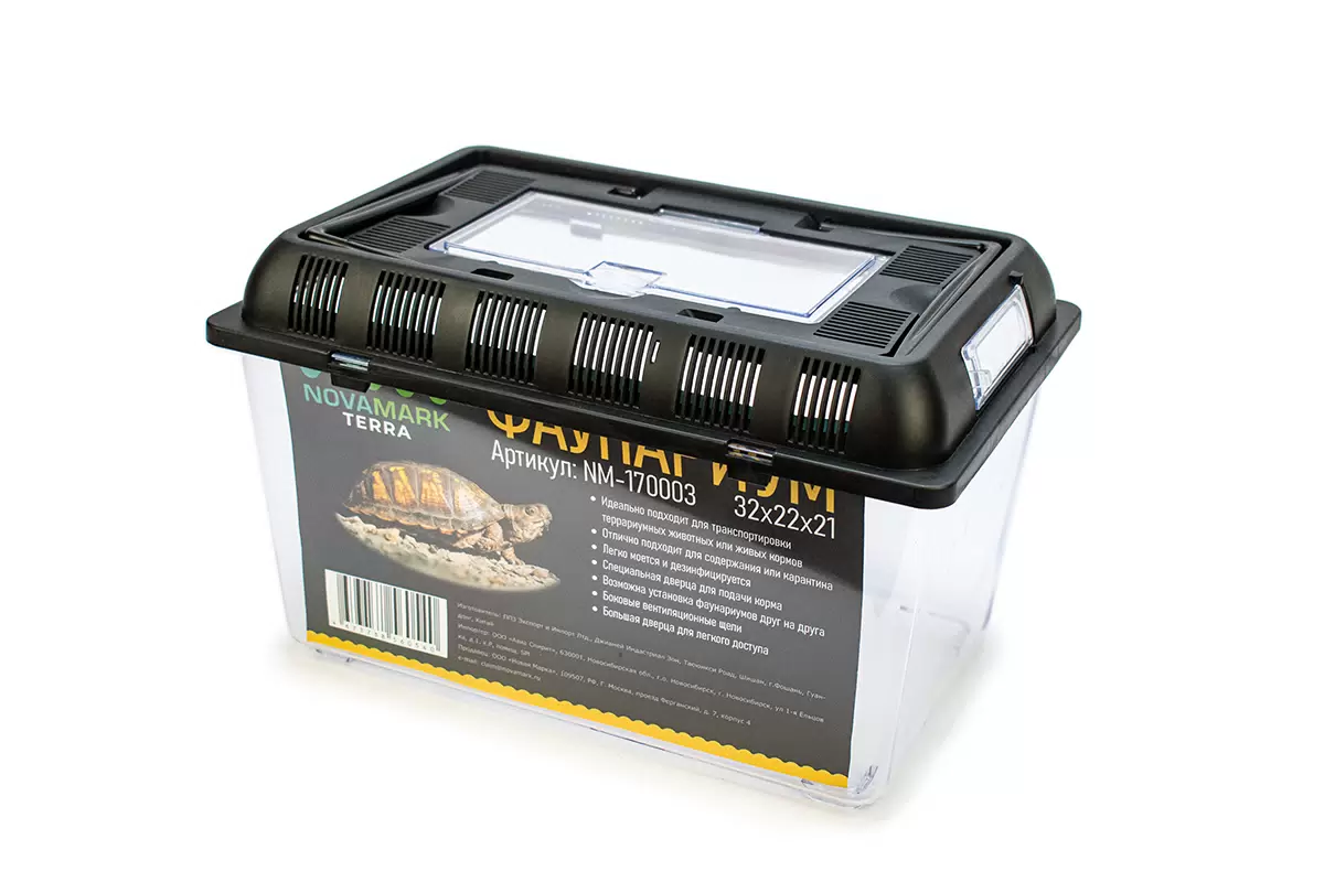 фото из Интернета 