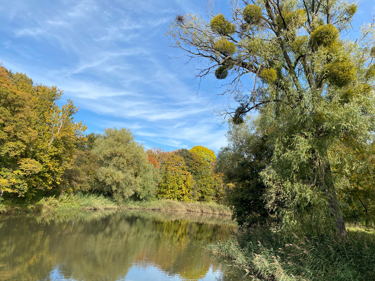 Лучшее средство от стресса