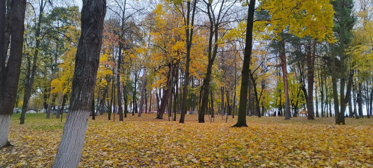 Стихи. Федор Тютчев. «Есть в осени первоначальной…»