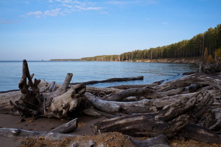 Приятный воздух хвойного леса и лёгкая прохлада с моря расслабляют и насыщают организм энергией.



Для того, чтобы провести выходные в палатках в комфортном месте с выходом к воде лучше выезжать в пятницу и занимать места.  А так как в бору песчаные дороги, то подготовьтесь к песку в салоне и труднопроходимым участкам, если до дня поездки шёл дождь. В бору есть много ягод и грибов, о чем говорит множество встречаемых людей с корзинами и вёдрами.

