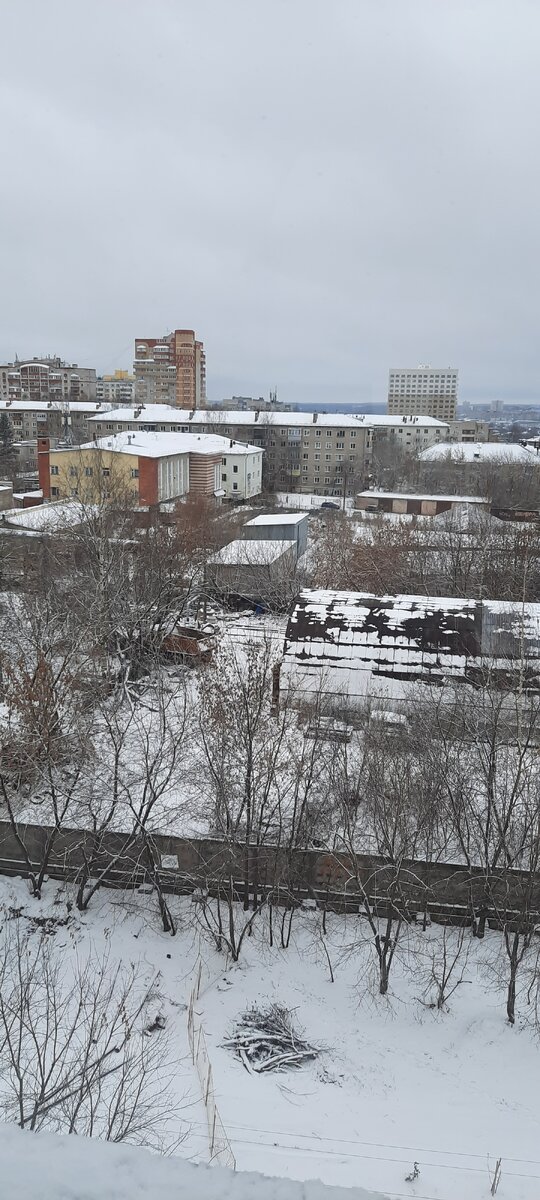 Пейзаж за окном сегодня утром. Снег! Красота!