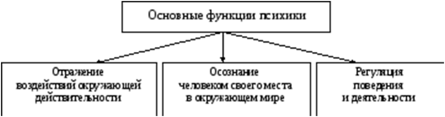 Психика как ориентировочная деятельность. Функции психики. Основные функции психики. Функции психики рисунок. Уровни психического отражения.