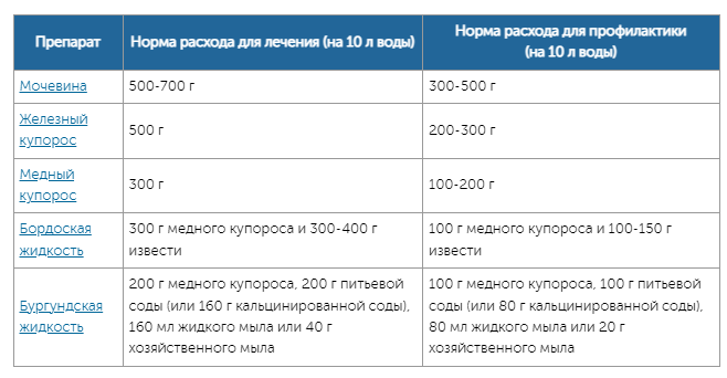 Осенняя обработка сада - советы экспертов | Полезные статьи на блоге Беккер