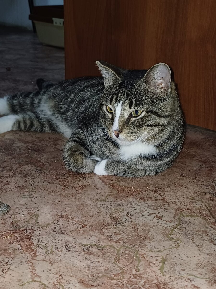 Тинкер.