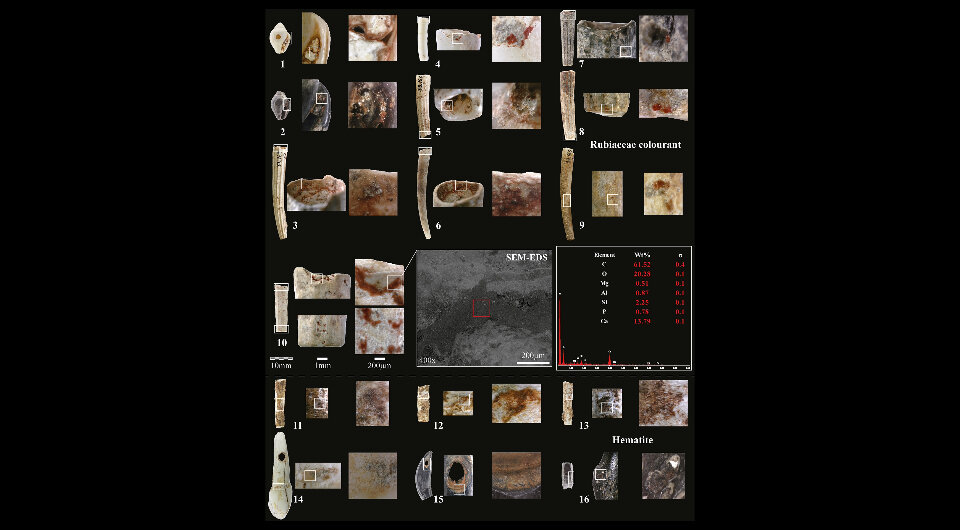   Laurent Davin et al. / PLoS ONE, 2023