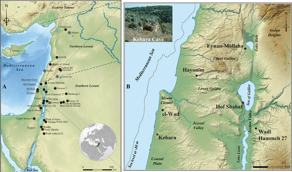   Laurent Davin et al. / PLoS ONE, 2023