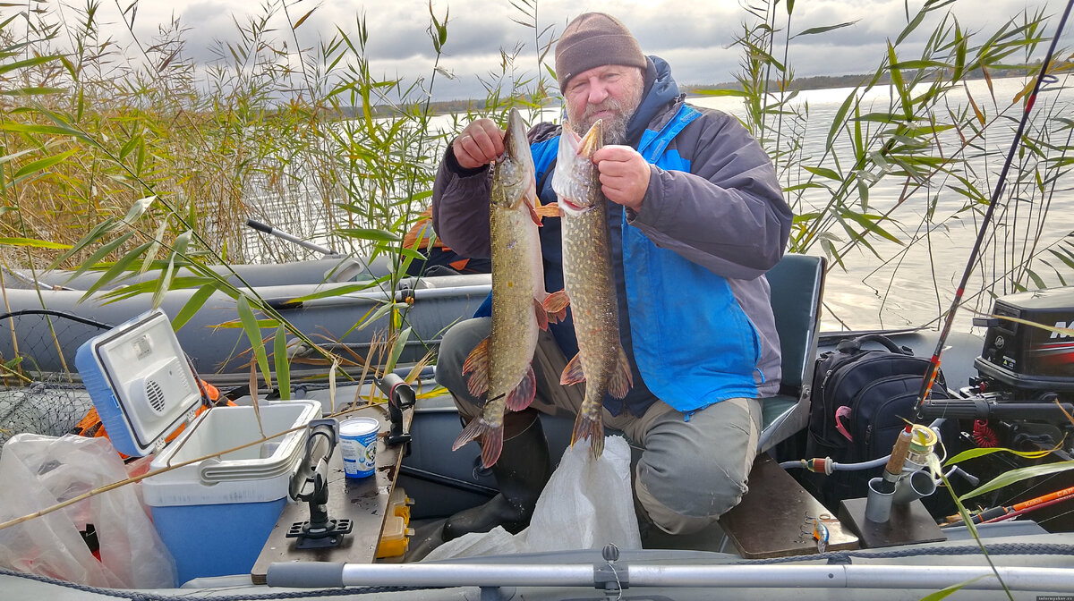 Есть в Раскопельском заливе хорошая щука. Вот только туда погода не пускает