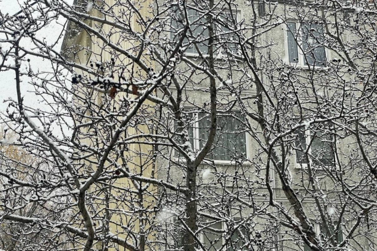    Неделя с 30 октября по 3 ноября в Прикамье может стать самой влажной в году