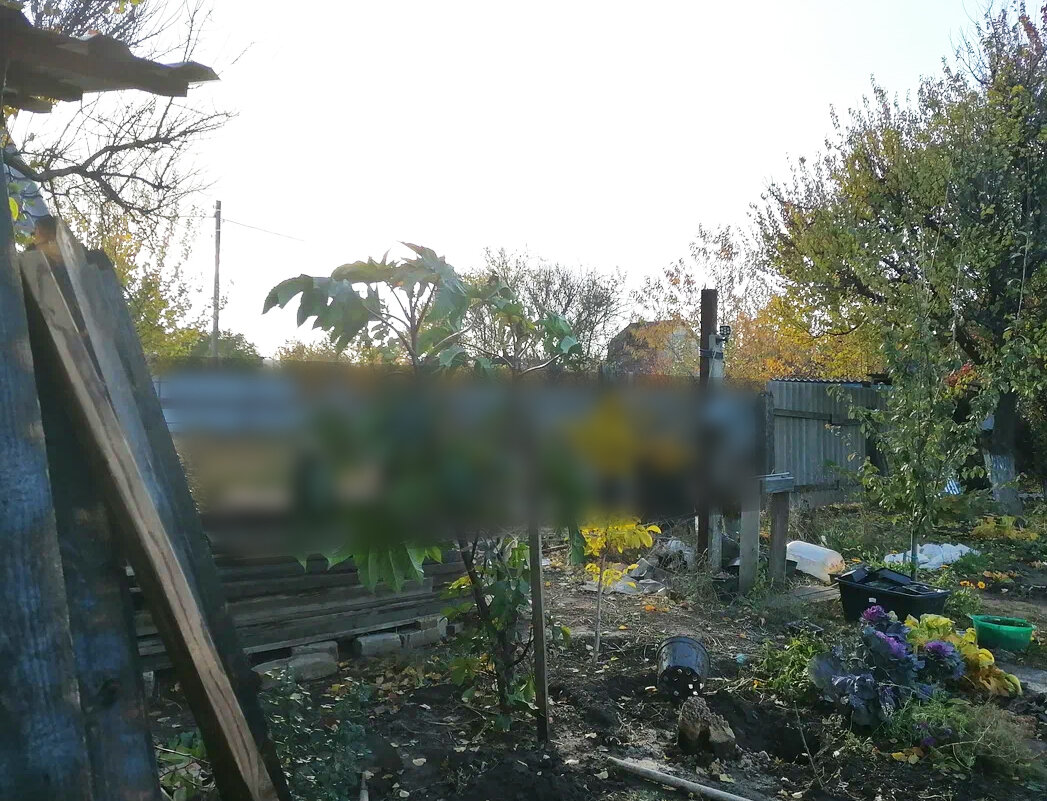 "Прореху" в заборе заблюрила, чтобы соседским участком не светить. Тут видно 2/3 от повреждений. Естественно, от порывов свыше 20 м/с по участку разлетелось всё.