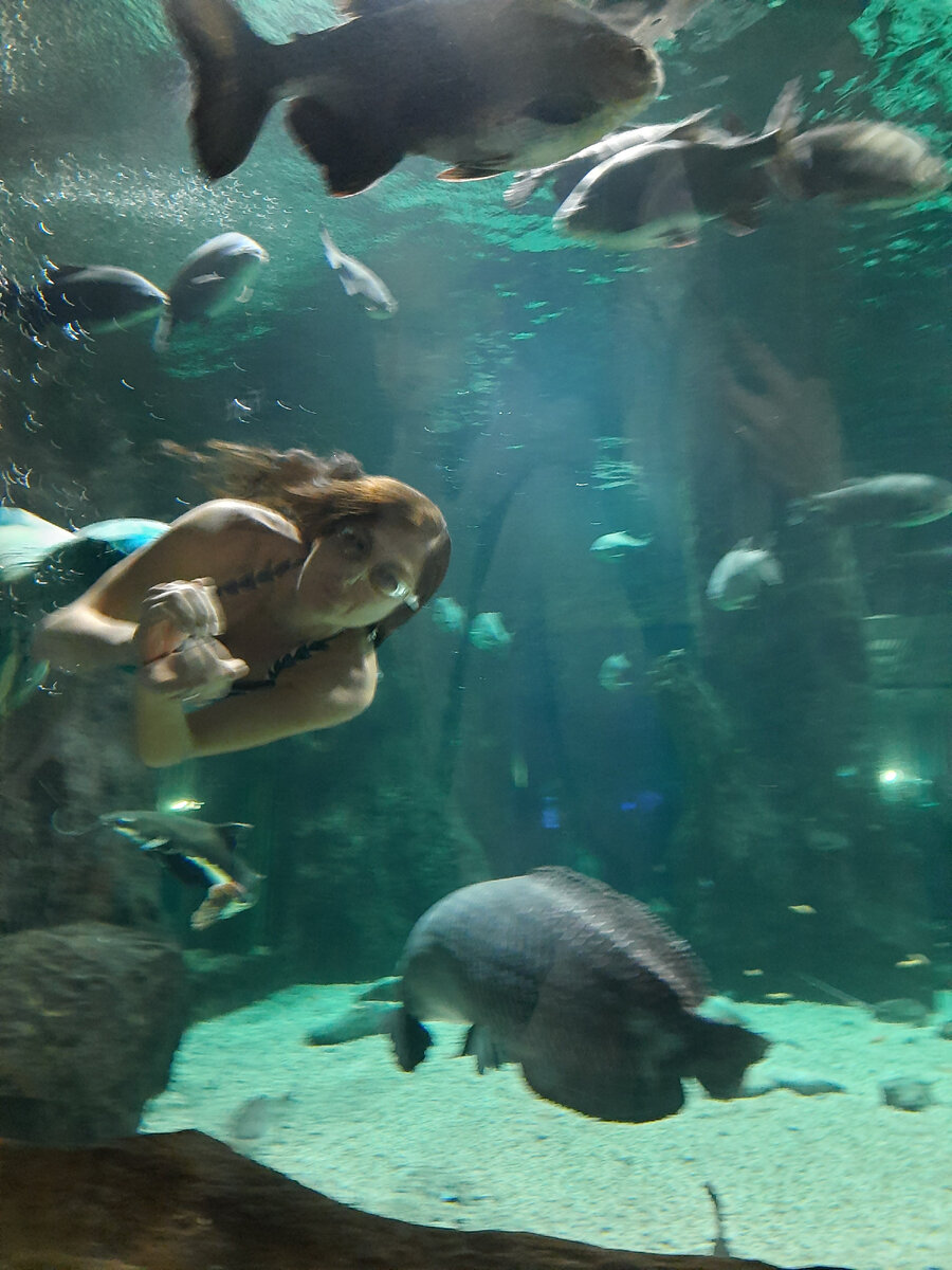 Фото, к сожалению, не получилось, русалка всё время была в движении, а телефон у меня никак не хотел фокусироваться на ней