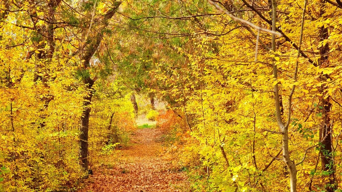 погода октябрь 2023 ростов