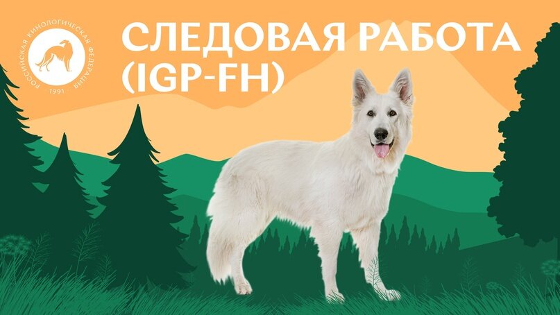 Все о следовой работе IGP-FH. Источник: Российская кинологическая федерация