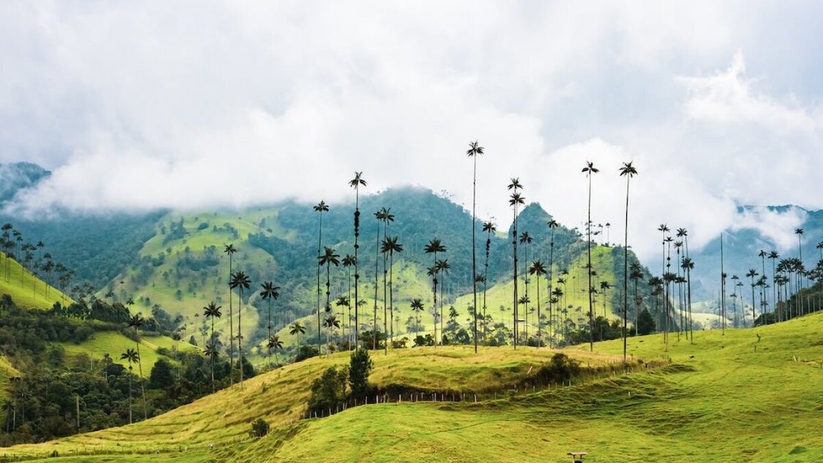    Профессор Краснов из Саратова стал мэром колумбийского города ТунхаНовости Саратова и области – Сетевое издание «Репортер64»