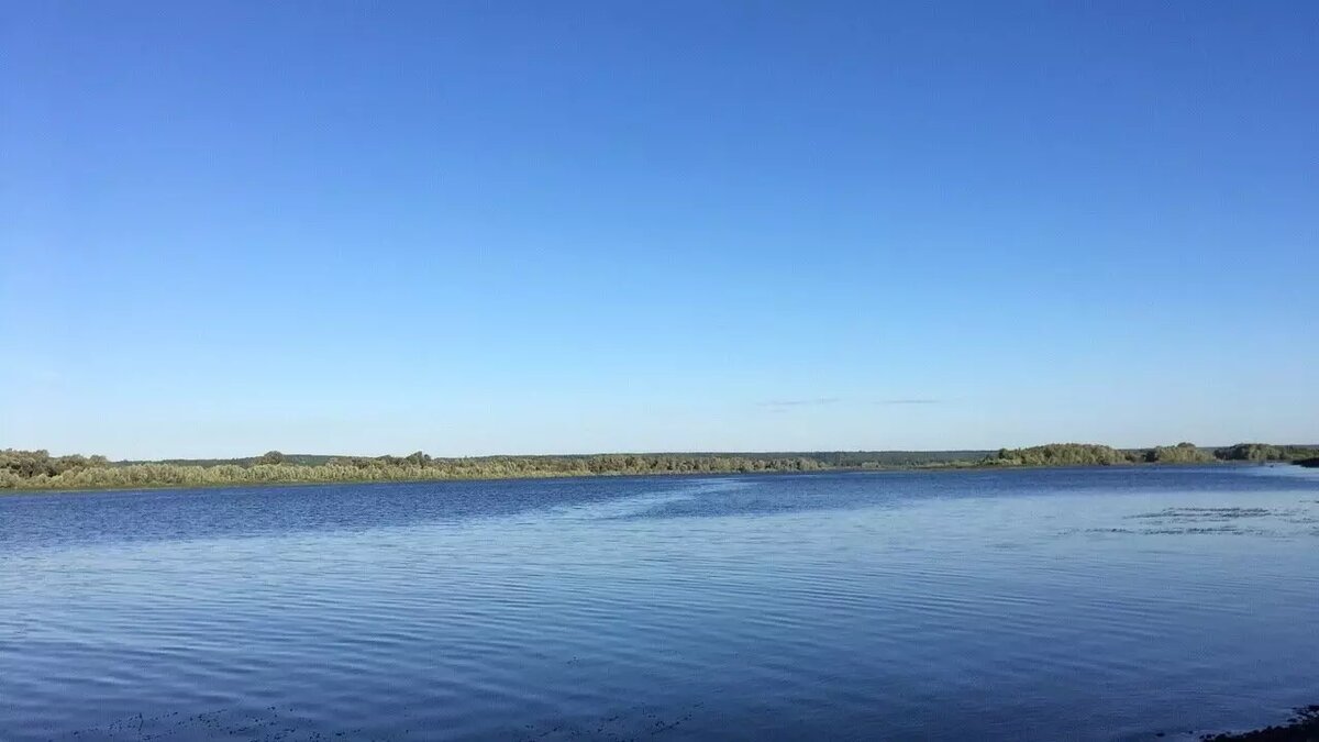     Губернатор Ульяновской области Алексей Русских заявил о том, что главы нескольких регионов Приволжского федерального округа, в том числе Татарстана, обратились к президенту России Владимиру Путину. Причиной стал уровень воды в Куйбышевском водохранилище, передает пресс-служба руководителя региона.