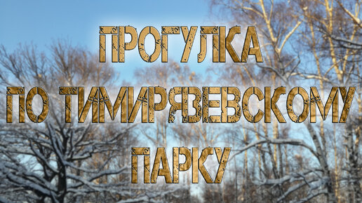 Прогулка по Тимирязевскому парку.