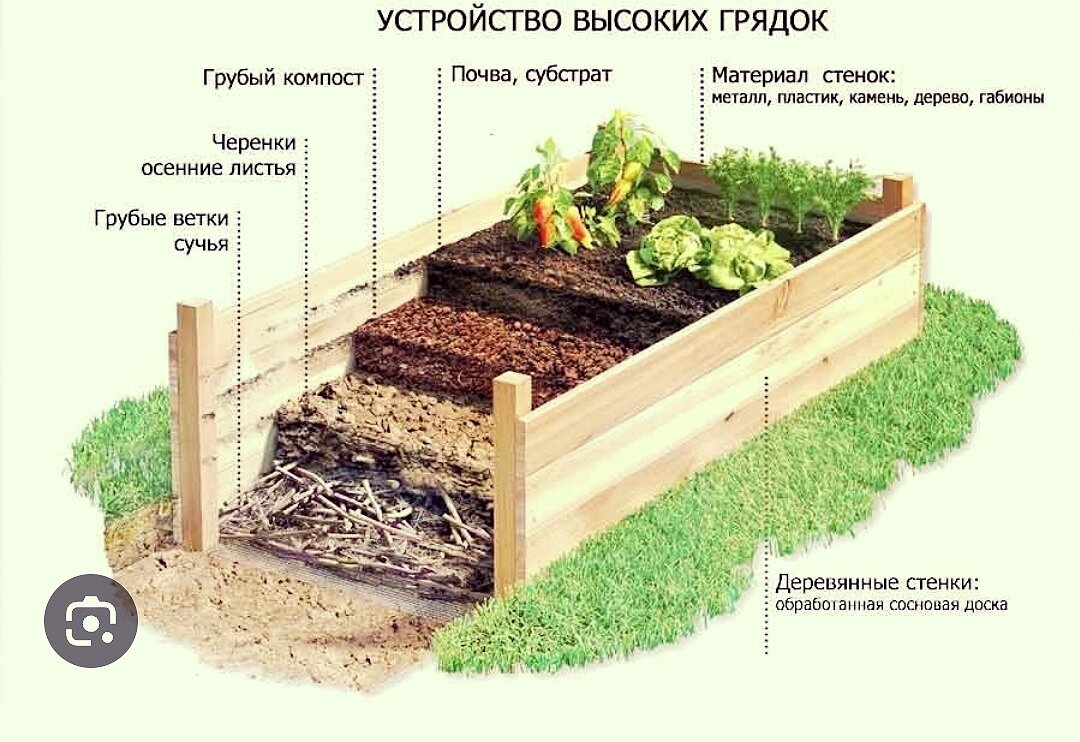 посадка деревьев в коробах