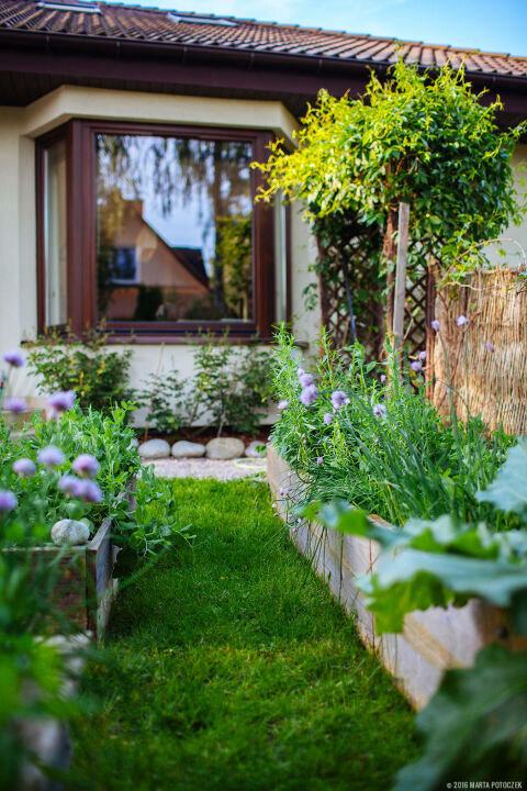 Рай на даче — как сделать красивый сад своими руками