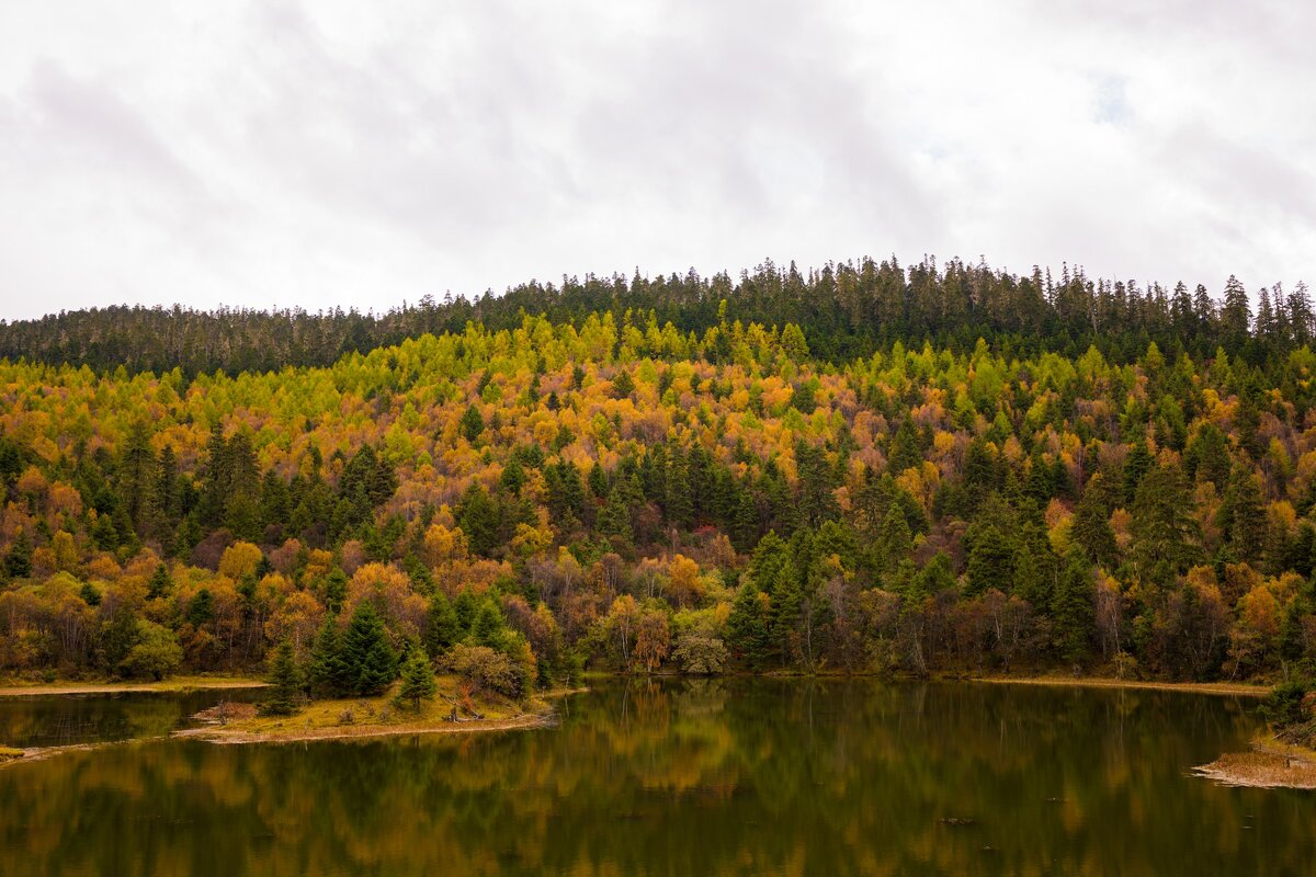 Фото с бесплатного фотоистока https://unsplash.com, автор Declan Sun