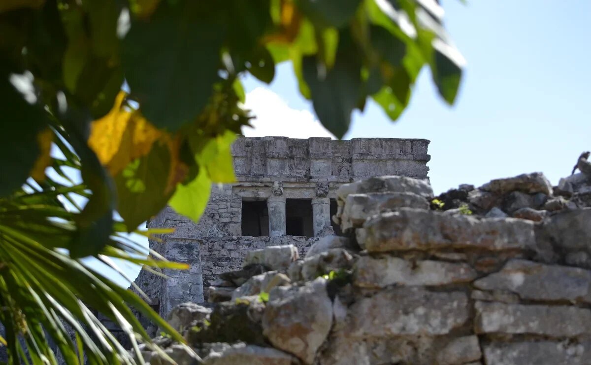    Погоня за норвежскими зайцами, баски и бесценная любовь. Самые нестандартные туры 2023 года