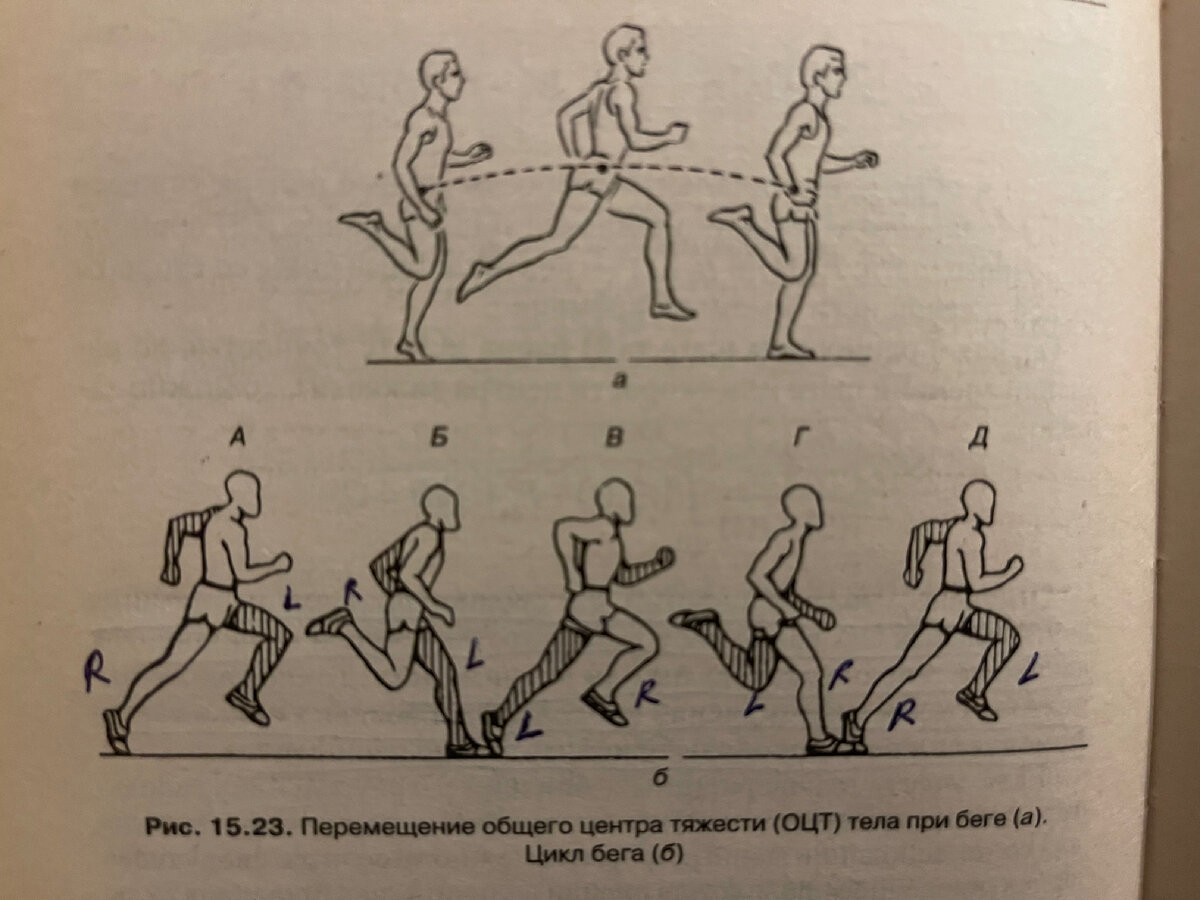 Тату волка - значения и фото