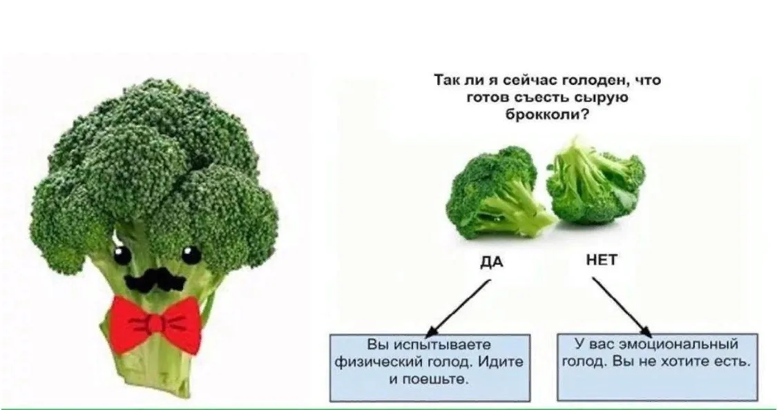 Шкала голода картинка