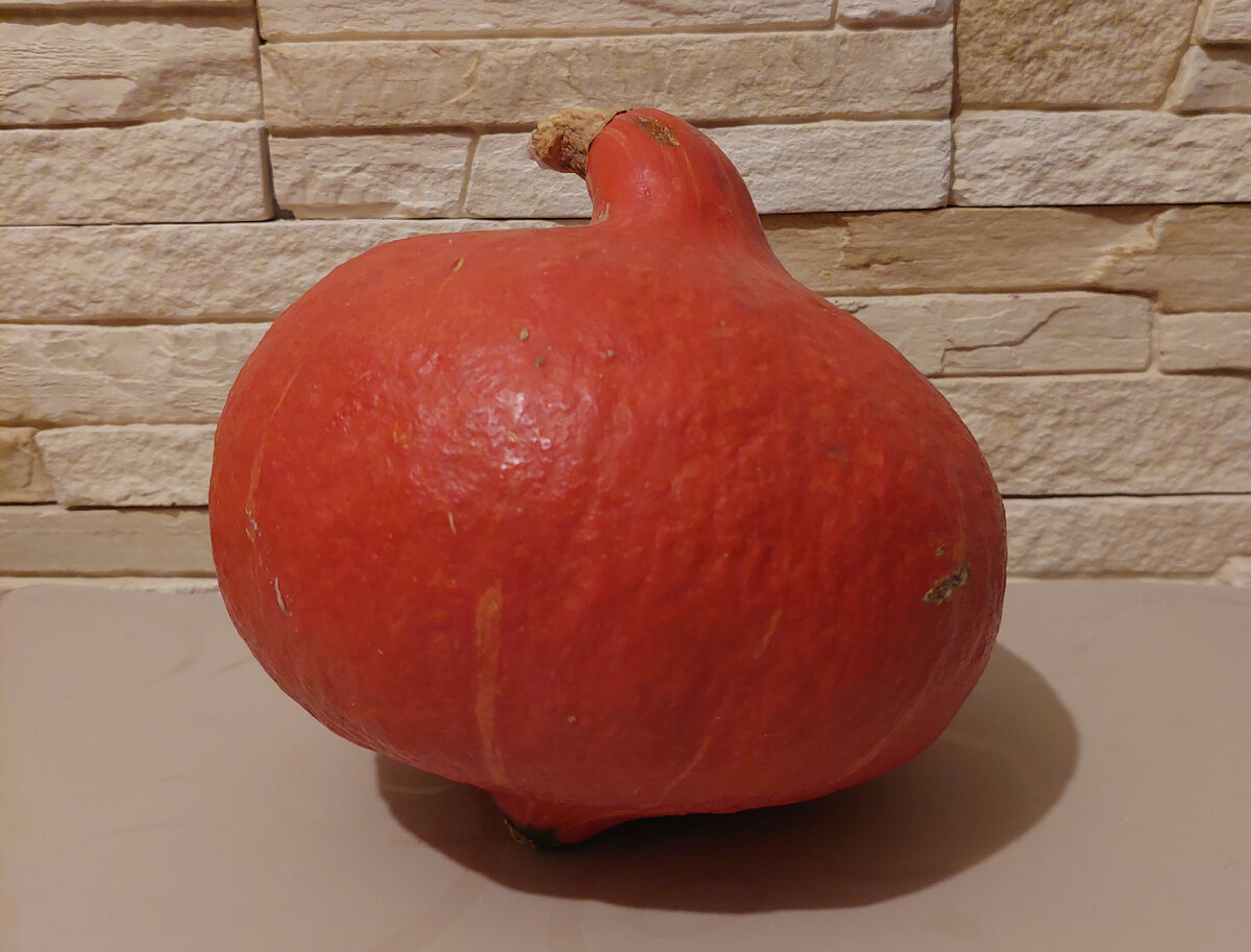 Красавица - тыква. Мой любимый сорт, не сладкий.