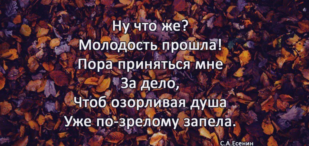 Юность проходит. Цитаты про молодость. Высказывания о молодости. Афоризмы про молодость. Афоризмы про Юность.