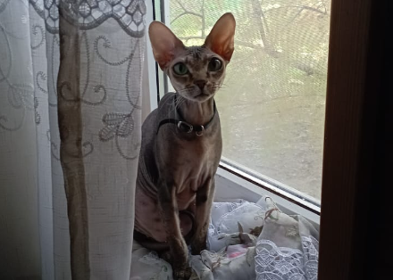 Ева контролировала работу экскаватора