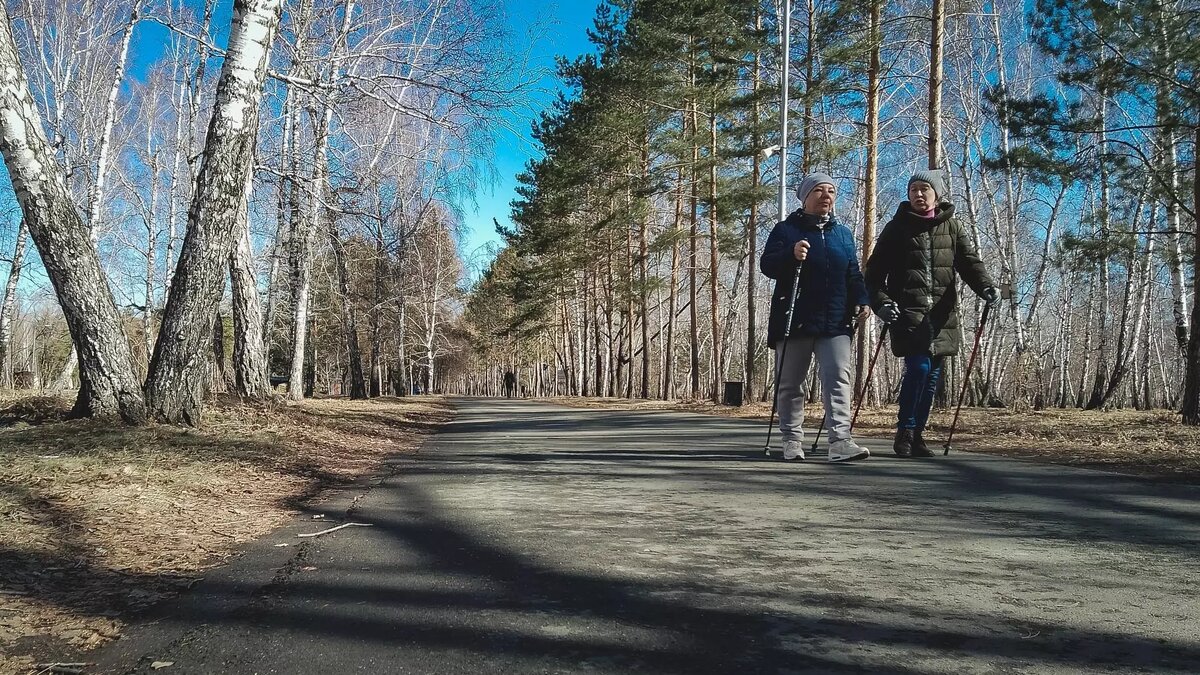     В Ростовской области начало ноября выдастся теплым и сухим, сообщили в Гидрометцентре.