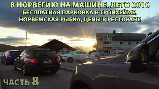 Норвегия на авто ч.8. Тронхейм, норвежская рыбка в ресторане, сайт паромов