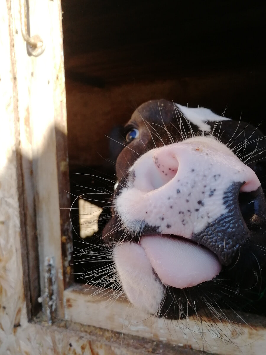 Фото автора канала.