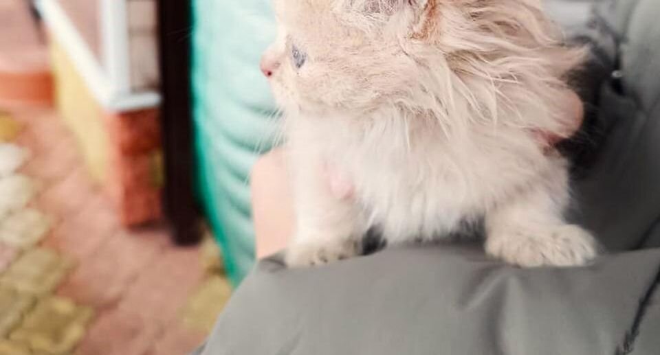 ГКУ МО "Мособлпожспас"📷
