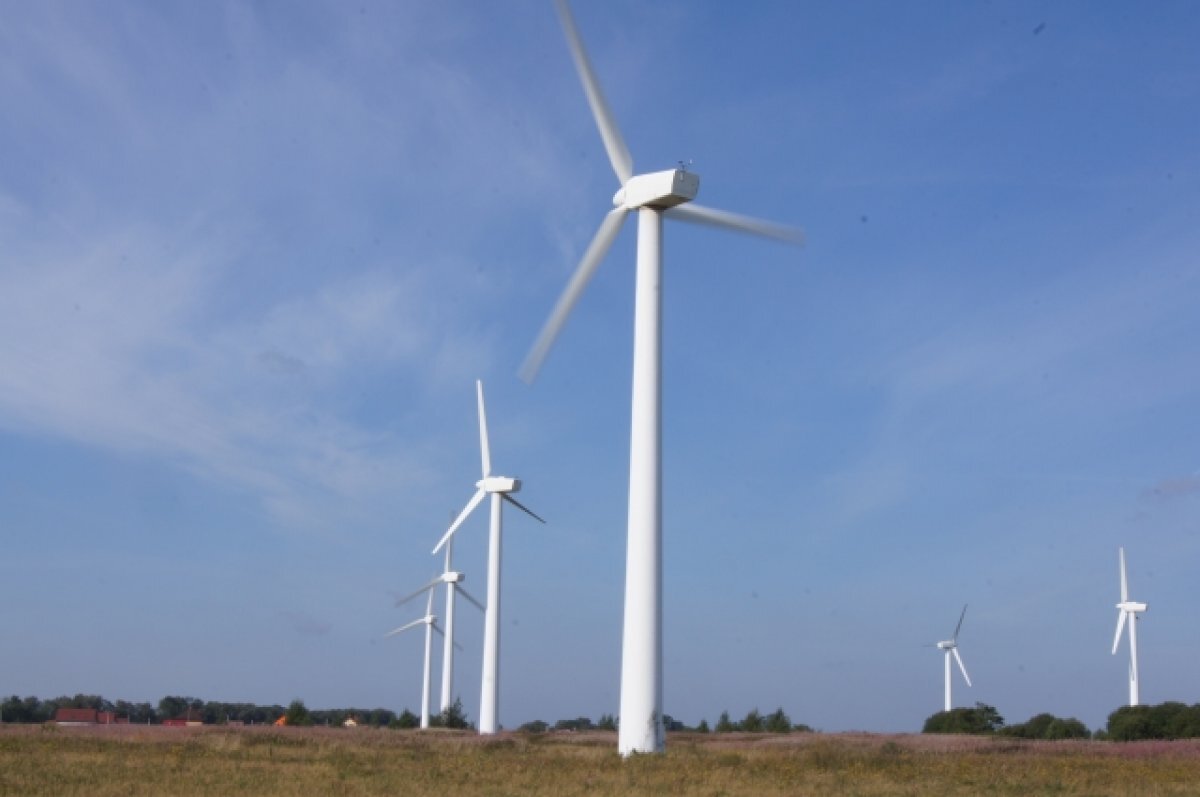    Эксперт Марцинкевич рассказал, что не так с «зелёными» источниками энергии