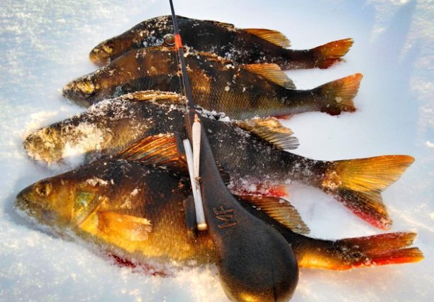 ручка типа "Пистолет"