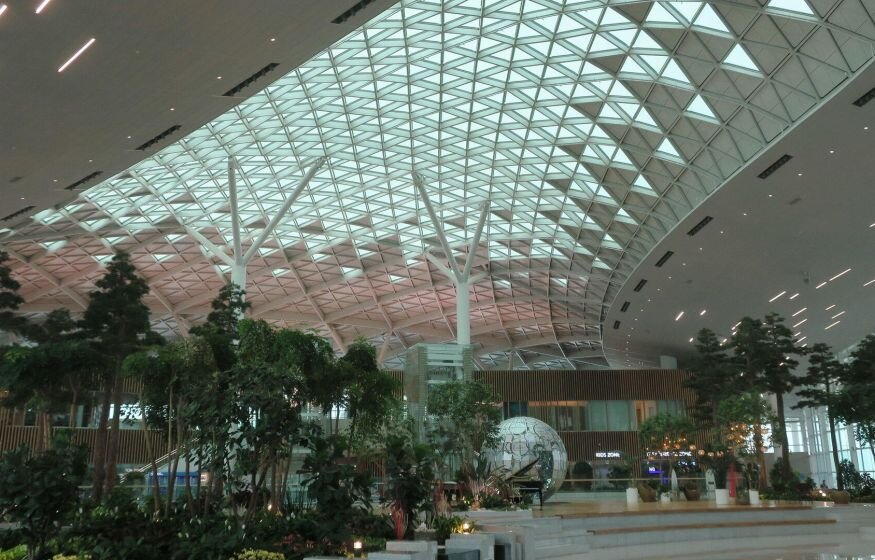    Россияне, сбежавшие от мобилизации, год живут в аэропорту Южной Кореи