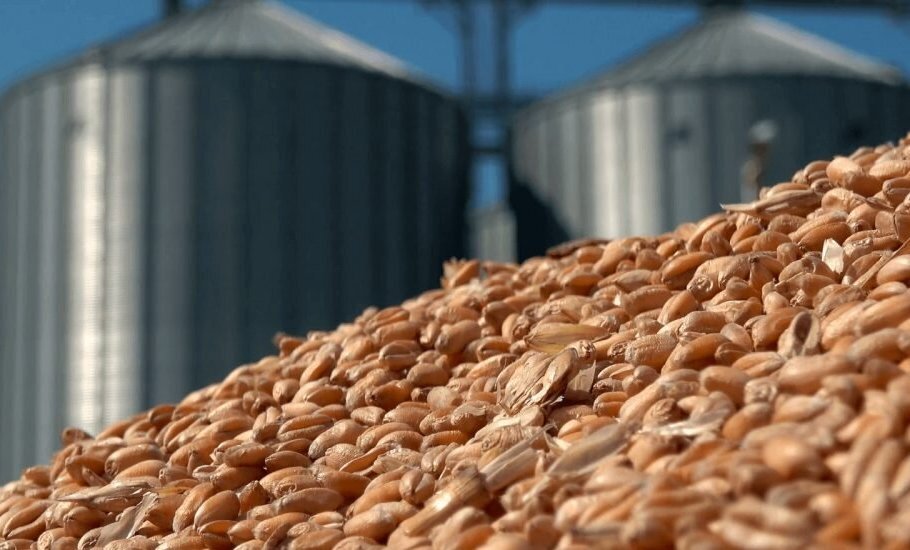 Благодаря проекту ожидается рост ежегодного экспорта продукции до 500 тыс. тонн