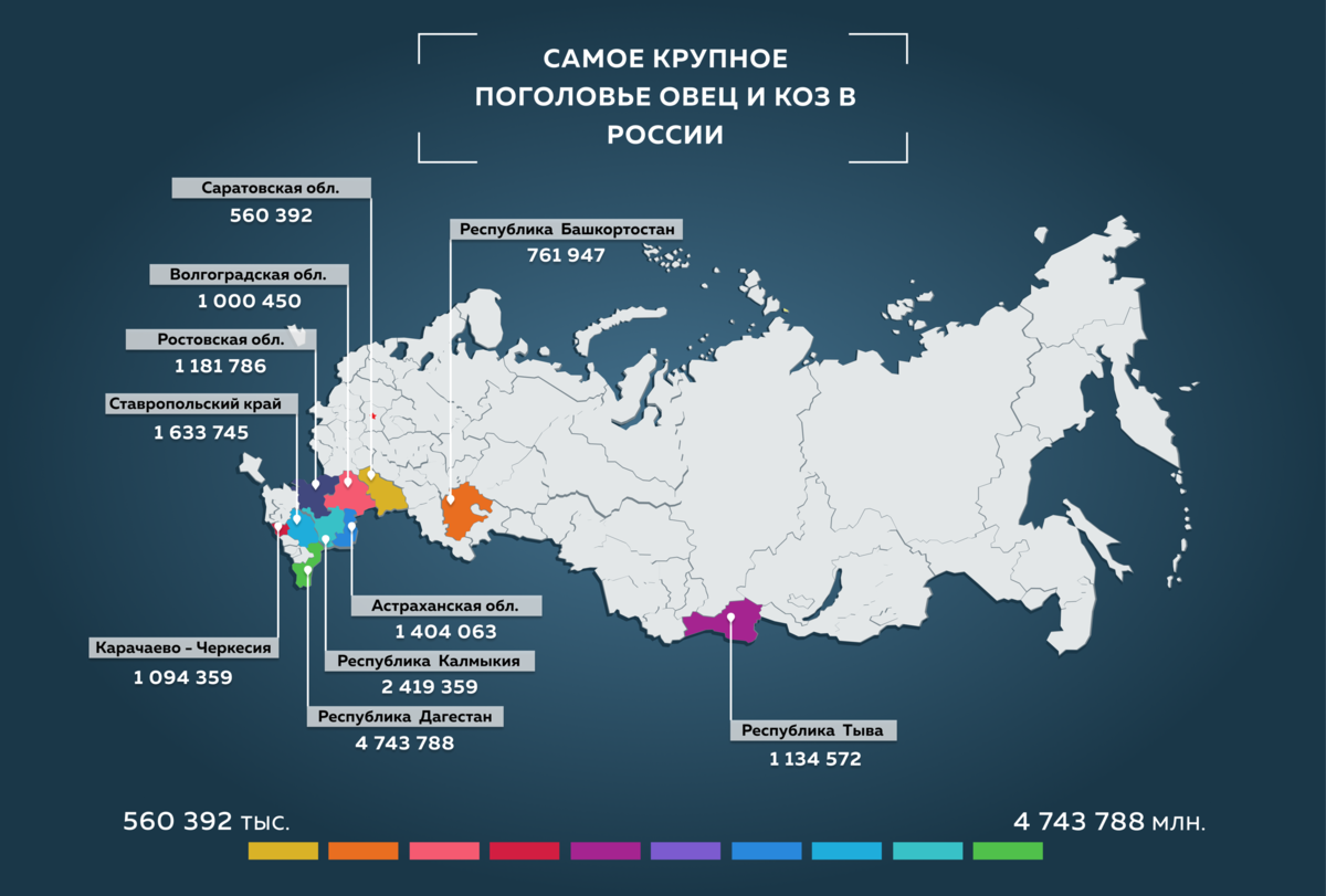 Овцеводство в какой природной зоне. Поголовье овец в России. Поголовье овец в России по регионам. Овцеводство в России на карте. Поголовье овец в России 2020.