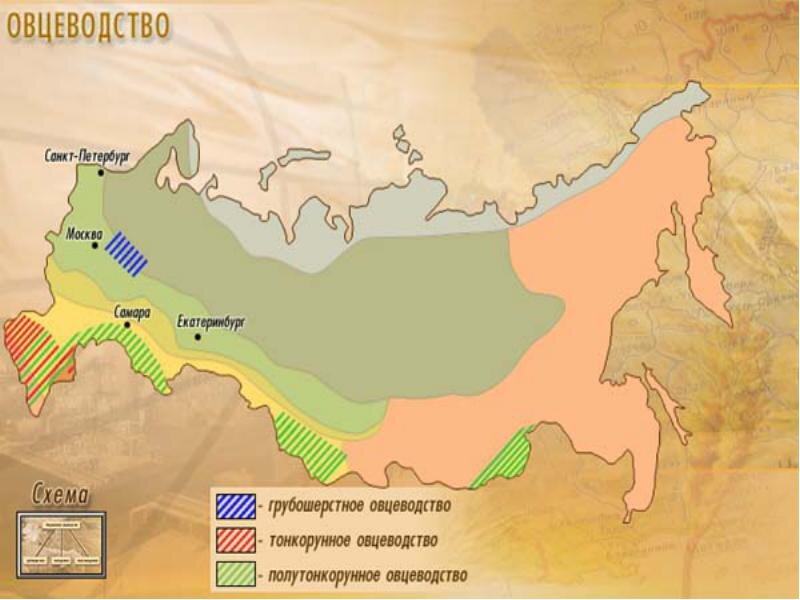 Овцеводство карта россии