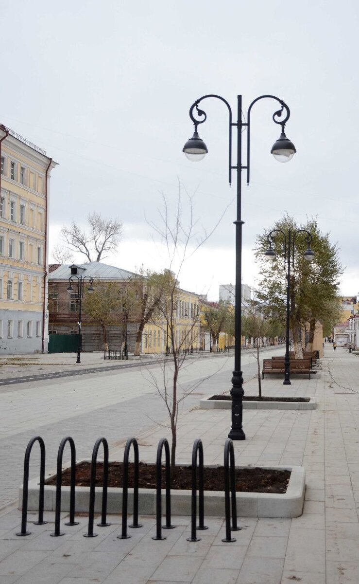    На Советской в Оренбурге начали высаживать новые деревья Белов Михаил Александрович