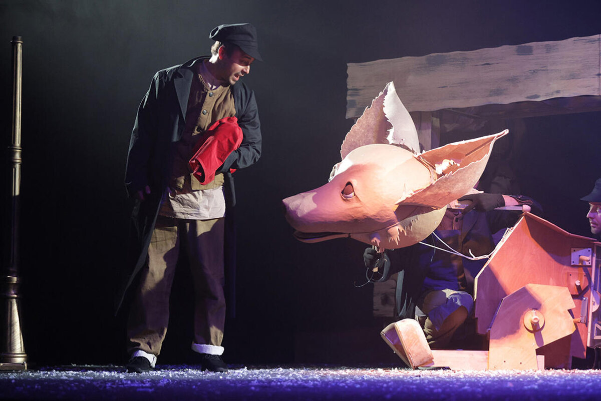     Новая персона