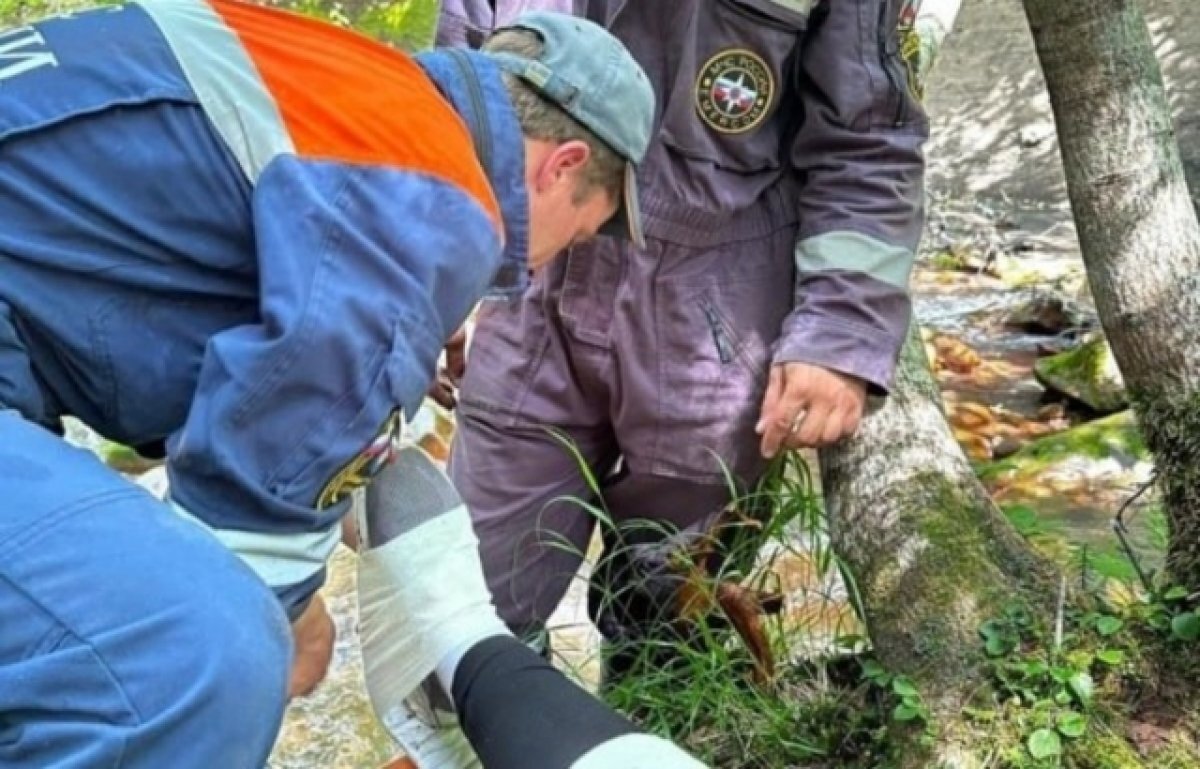    Спасатели в Бурятии эвакуировали сломавшую ребро при спуске с горы туристку
