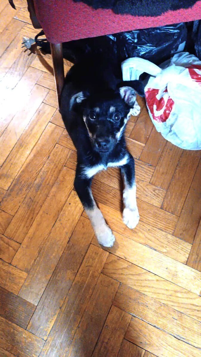 Это самое внятное фото