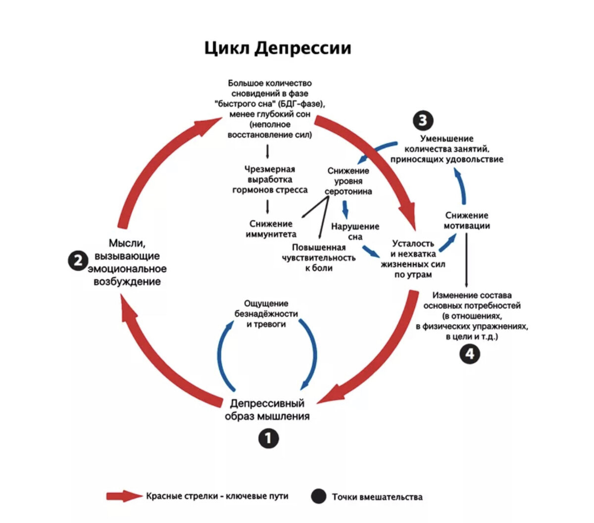 С долгосрочной точки зрения. Схема лечения депрессии. Схема лечения депрессивного расстройства. Патогенез депрессии. Цикл депрессии.