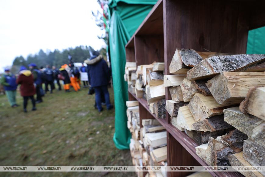    Фото: БЕЛТА