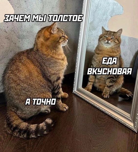 Текста много, поэтому разбавлю его мемчиками)))