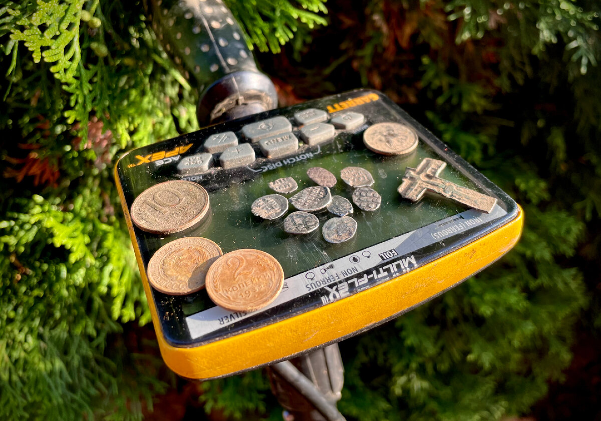 Приятных находок остается все меньше и меньше и нужно уметь найти места, где они все ещё водятся