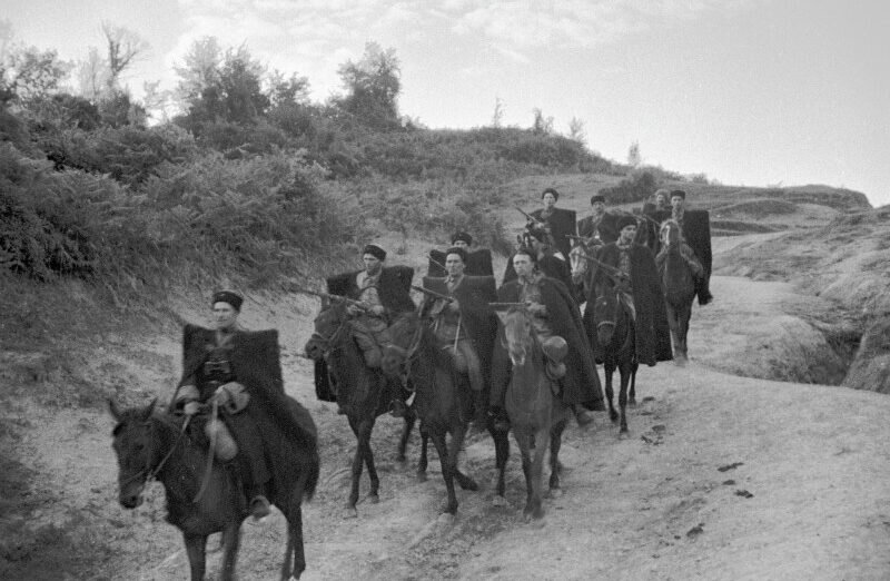 Казаки в вов картинки