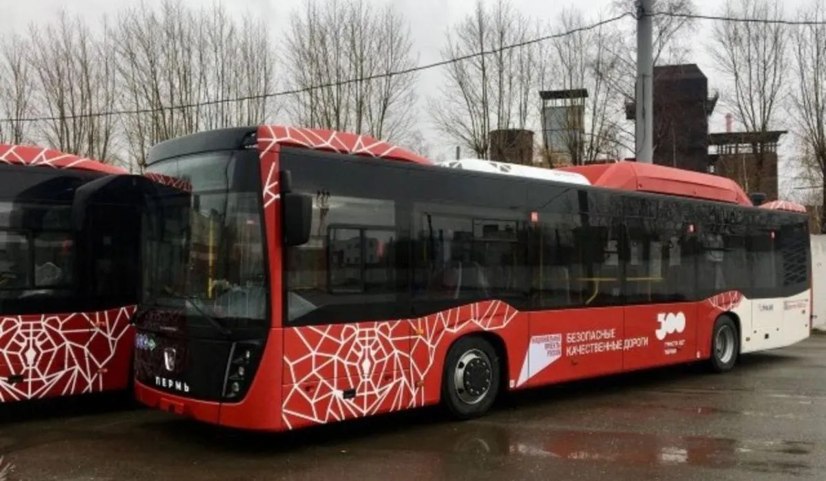 Автобусы. Источник: perm.aif.ru Автор фото: Пресс-служба правительства Пермского края